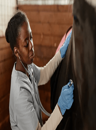 Deworming and Delousing Farm Animals
