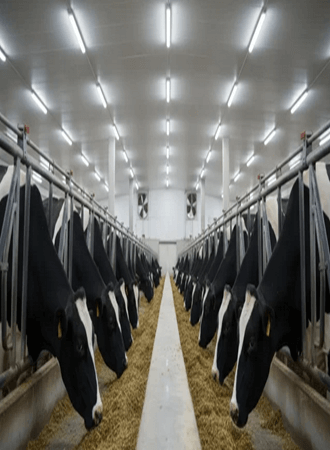 greenhouse-gas-emission-reduction-technologies