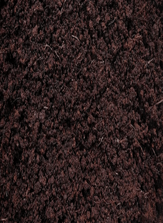 wheat-farming-nigeria