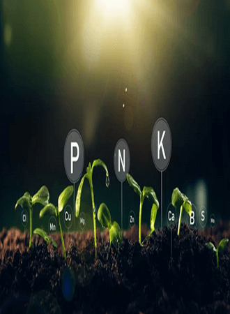 wheat-farming-nigeria