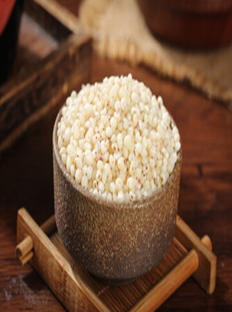 sorghum-farming-processing-exporting