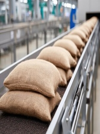 sorghum-farming-processing-exporting