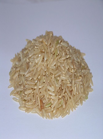 Successful-rice-farming-guidelines