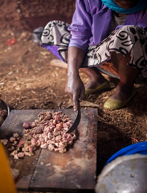 agriculture-problems-nigeria