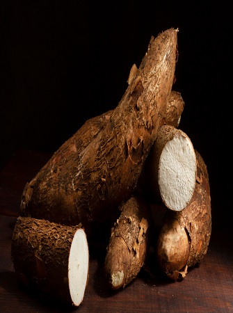 cassava-processing-nigeria