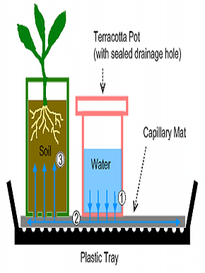 greenhouse-irrigation-systems