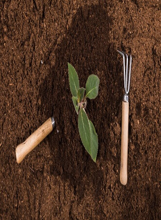 composting-process-techniques-practices