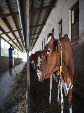 agriculture-climate-carbon-dioxide-removal