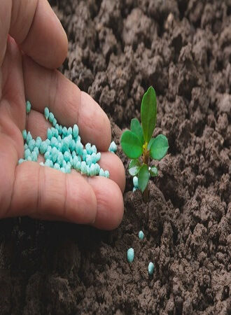 greenhouse-farming-fertilizer-types