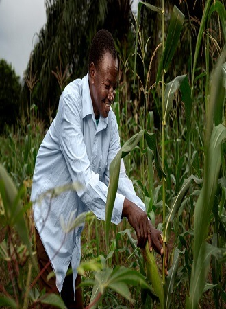 importance-crop-insurance