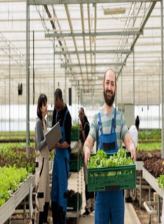 importance-crop-insurance