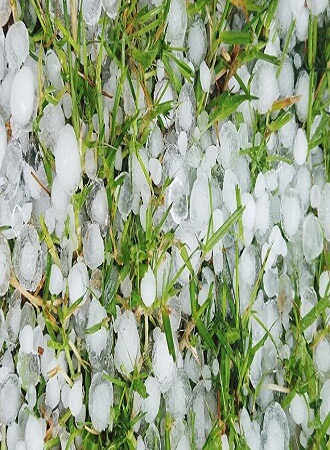 importance-crop-insurance