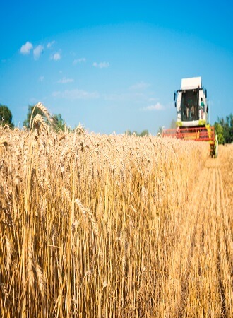 importance-crop-insurance