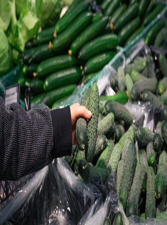 health-benefits-cucumber-farming