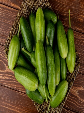 health-benefits-cucumber-farming
