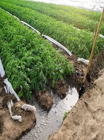 agriculture-irrigation-systems-benefits