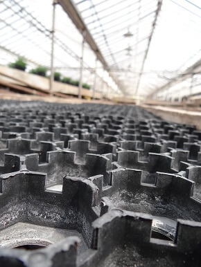 Greenhouse farming in nigeria