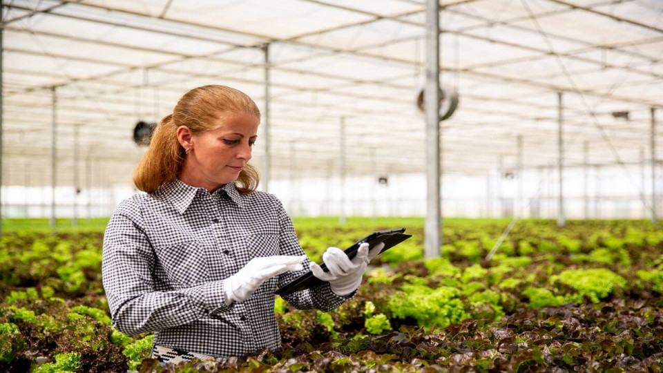 Precision Agriculture Tools