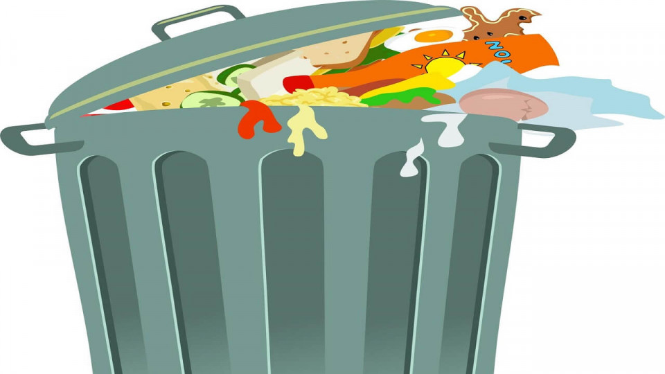 Food Waste: Causes and Solutions