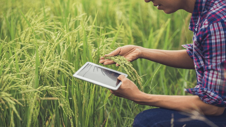 Digital Agromarketing: Importance, Benefits and Strategies