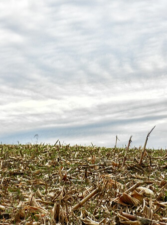 big-data-agriculture