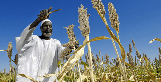 CBN Agric Loan