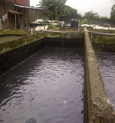profitability-catfish-farming-nigeria