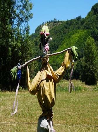 Successful-rice-farming-guidelines