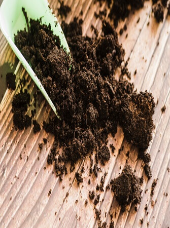 natural-fertilizer-pesticide-solutions-agriculture