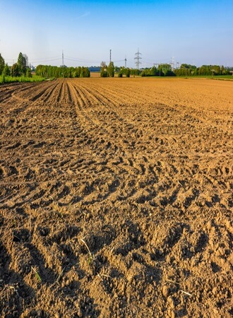 soil-nematode-management-strategies