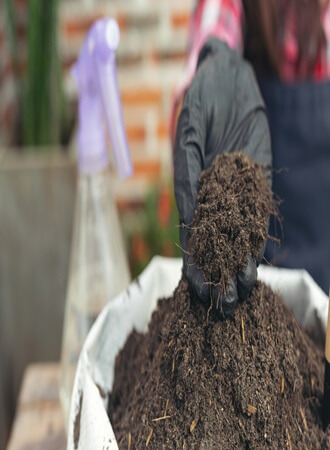 soil-nematode-management-strategies