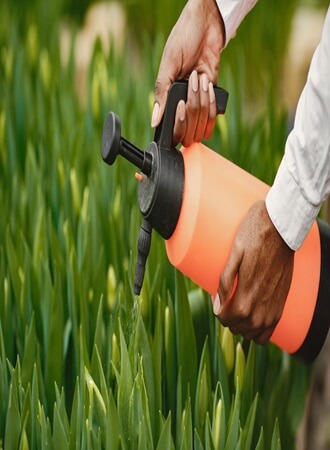 soil-nematode-management-strategies