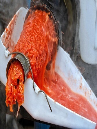 tomato-paste-production