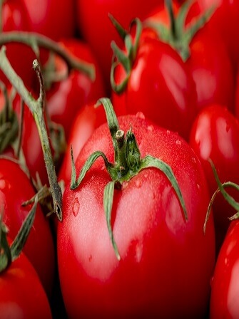 tomato-paste-production