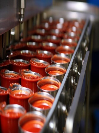 tomato-paste-production