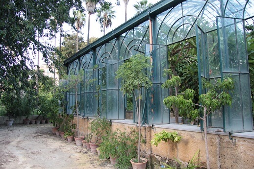 greenhouse farming in nigeria