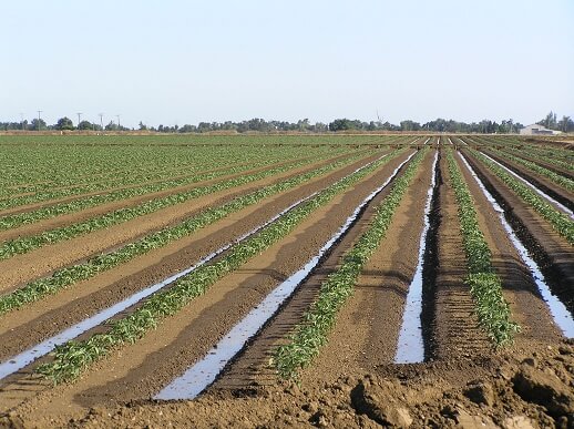 Irrigation